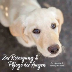 AniForte Augen-Reinigungspads -Günstiges Wuff Pflege Geschäft 0055998 aniforte augen reinigungspads