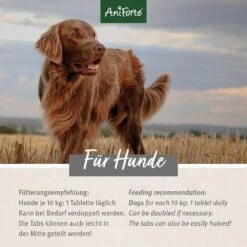 AniForte AgilityVET Gelenktabletten -Günstiges Wuff Pflege Geschäft 0056051 aniforte agilityvet gelenktabletten