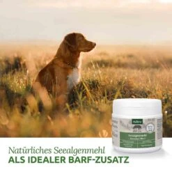 AniForte BARF-Line Seealgenmehl 250 G -Günstiges Wuff Pflege Geschäft 0056071 aniforte barf line seealgenmehl 250 g
