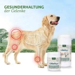 AniForte CollaMove Dog -Günstiges Wuff Pflege Geschäft 0056143 aniforte collamove dog