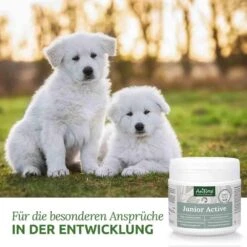 AniForte Junior Active Pulver -Günstiges Wuff Pflege Geschäft 0056203 aniforte junior active pulver