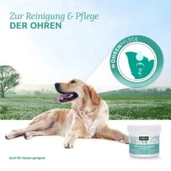AniForte Ohren-Reinigungspads -Günstiges Wuff Pflege Geschäft 0056222 aniforte ohren reinigungspads