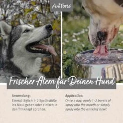AniForte Denta Clean & Care Dentalspray -Günstiges Wuff Pflege Geschäft 0056269 aniforte denta clean care dentalspray