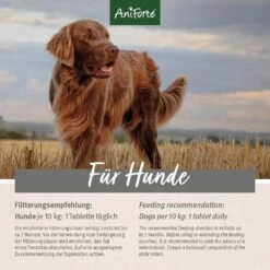 AniForte Plus Fell & Haut -Günstiges Wuff Pflege Geschäft 0056272 aniforte plus fell haut