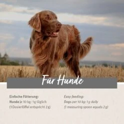 AniForte Senior Active -Günstiges Wuff Pflege Geschäft 0056277 aniforte senior active