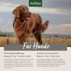 AniForte Plus Magen & Darm -Günstiges Wuff Pflege Geschäft 0056283 aniforte plus magen darm