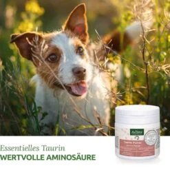 AniForte Taurin Pulver Für Hunde 9 AniForte Taurin Pulver Für Hunde -Günstiges Wuff Pflege Geschäft 0056297 aniforte taurin pulver fur hunde