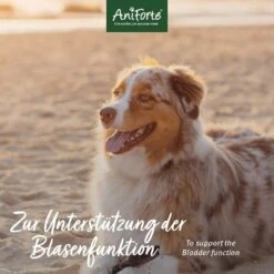 AniForte Blasen-Formel Pulver 10 AniForte Blasen-Formel Pulver -Günstiges Wuff Pflege Geschäft 0056336 aniforte blasen formel pulver