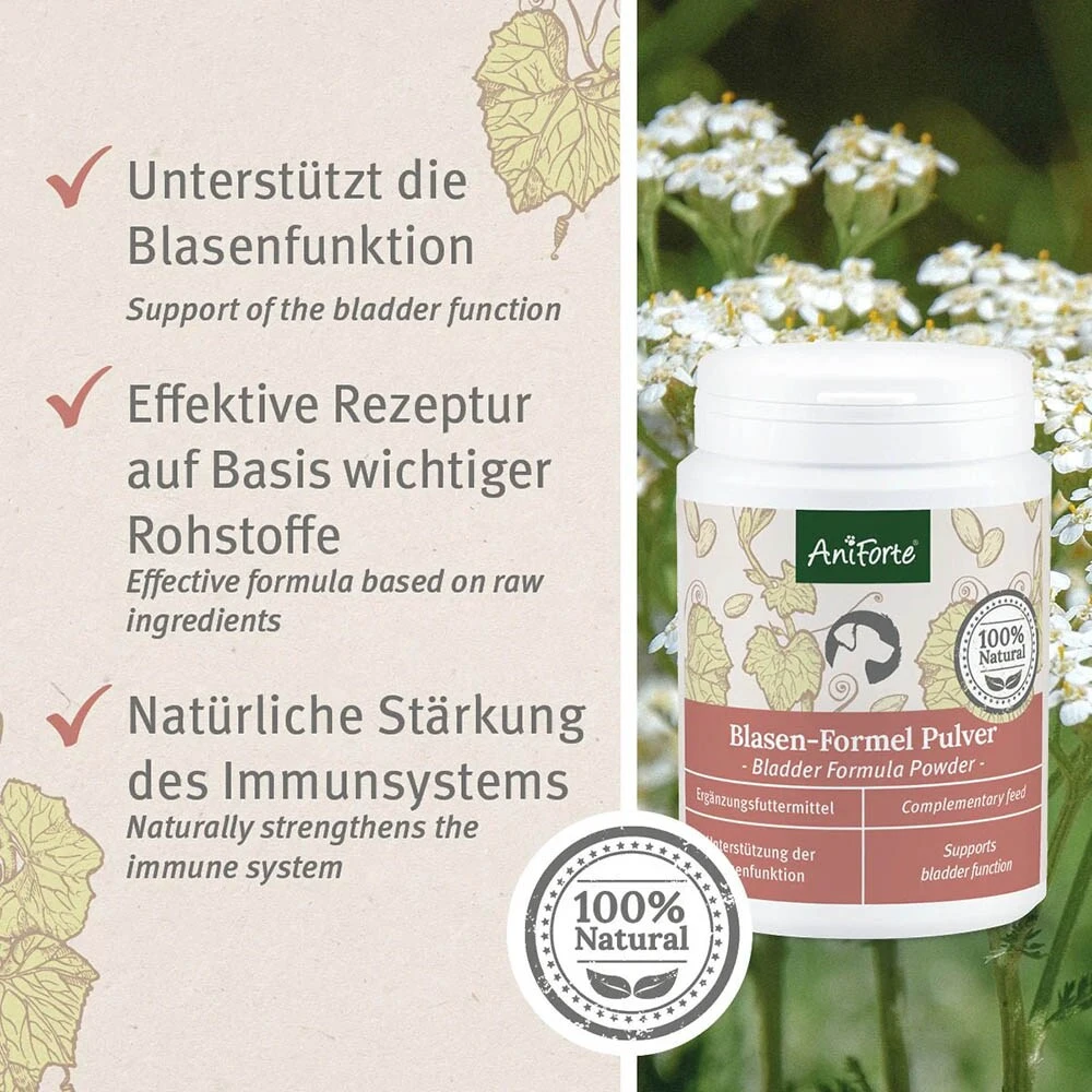 AniForte Blasen-Formel Pulver 4 AniForte Blasen-Formel Pulver – Bild 2