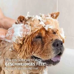 AniForte Fellharmonie Shampoo Sensitiv -Günstiges Wuff Pflege Geschäft 0056363 aniforte fellharmonie shampoo sensitiv