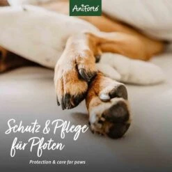 AniForte Pfotenschutz Balsam -Günstiges Wuff Pflege Geschäft 0056378 aniforte pfotenschutz balsam