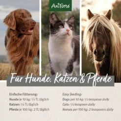 AniForte Leinöl -Günstiges Wuff Pflege Geschäft 0056399 aniforte leinol