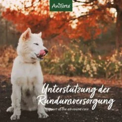 AniForte 4in1 Complete Dog -Günstiges Wuff Pflege Geschäft 0056408 aniforte 4in1 complete dog