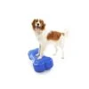 FitPaws K9 FitBone -Günstiges Wuff Pflege Geschäft 0056773 fitpaws k9 fitbone