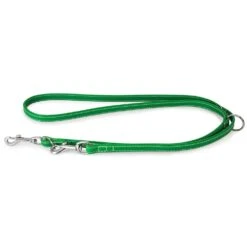 Das Lederband Barcelona Führleine Summer-Green