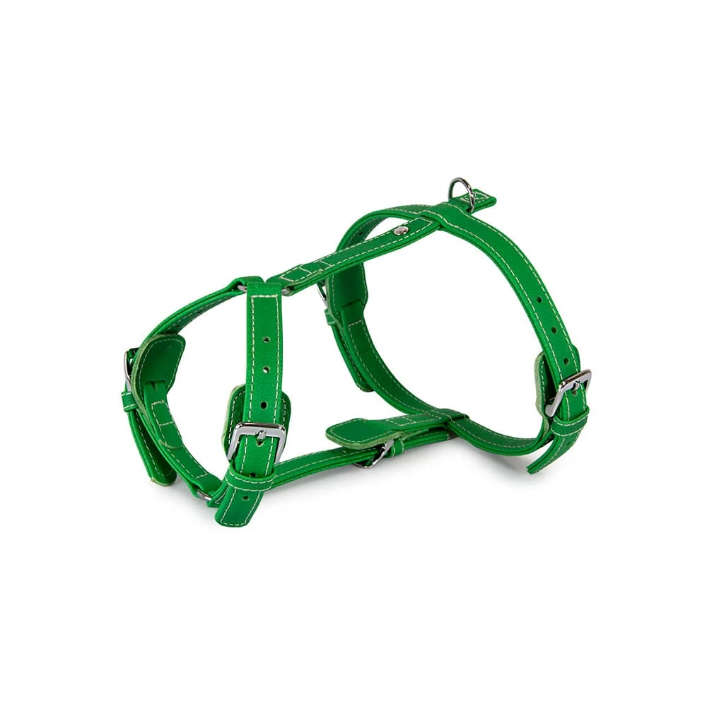 Das Lederband Barcelona Geschirr Summer-Green 3 Das Lederband Barcelona Geschirr Summer-Green