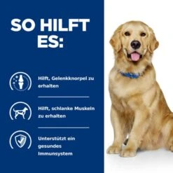 Hill's Prescription Diet J/d Reduced Calorie Trockenfutter Für Hunde Mit Huhn -Günstiges Wuff Pflege Geschäft 0057413 hills prescription diet jd reduced calorie trockenfutter fur hunde mit huhn