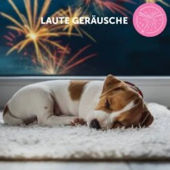 CEVA Adaptil Junior Halsband -Günstiges Wuff Pflege Geschäft 0057440 adaptil junior halsband