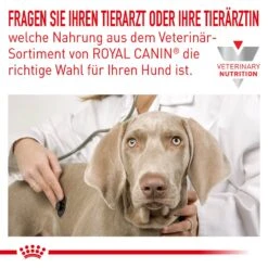 Royal Canin Veterinary Anallergenic Small Dog Trockenfutter Für Kleine Hunde -Günstiges Wuff Pflege Geschäft 0057520 royal canin veterinary anallergenic small dog trockenfutter fur kleine hunde