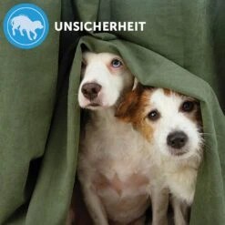 CEVA Adaptil Calm Nachfüllflakon 16 CEVA Adaptil Calm Nachfüllflakon -Günstiges Wuff Pflege Geschäft 0057611 adaptil calm nachfullflakon