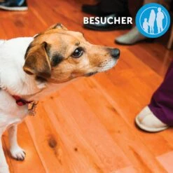 CEVA Adaptil Calm Halsband Für Kleine Hunde -Günstiges Wuff Pflege Geschäft 0057751 adaptil calm halsband fur kleine hunde