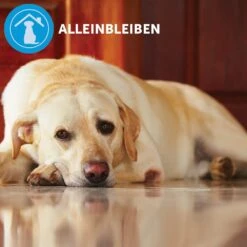 CEVA Adaptil Calm Halsband Für Kleine Hunde -Günstiges Wuff Pflege Geschäft 0057754 adaptil calm halsband fur kleine hunde