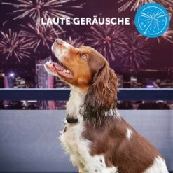 CEVA Adaptil Calm Halsband Für Große Hunde 11 CEVA Adaptil Calm Halsband Für Große Hunde -Günstiges Wuff Pflege Geschäft 0057758 adaptil calm halsband fur grose hunde