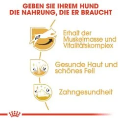 Royal Canin Jack Russell Terrier Adult Hundefutter Trocken -Günstiges Wuff Pflege Geschäft 0057894 royal canin jack russell terrier adult hundefutter trocken