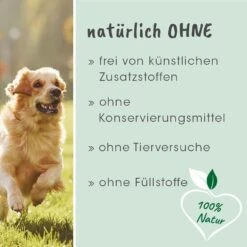 CdVet Drachenblut 14 CdVet Drachenblut -Günstiges Wuff Pflege Geschäft 0057982 cdvet drachenblut