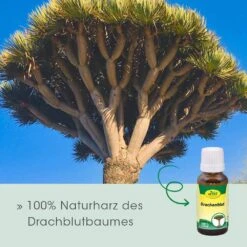 CdVet Drachenblut 11 CdVet Drachenblut -Günstiges Wuff Pflege Geschäft 0057983 cdvet drachenblut