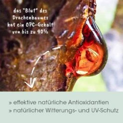 CdVet Drachenblut 12 CdVet Drachenblut -Günstiges Wuff Pflege Geschäft 0057984 cdvet drachenblut