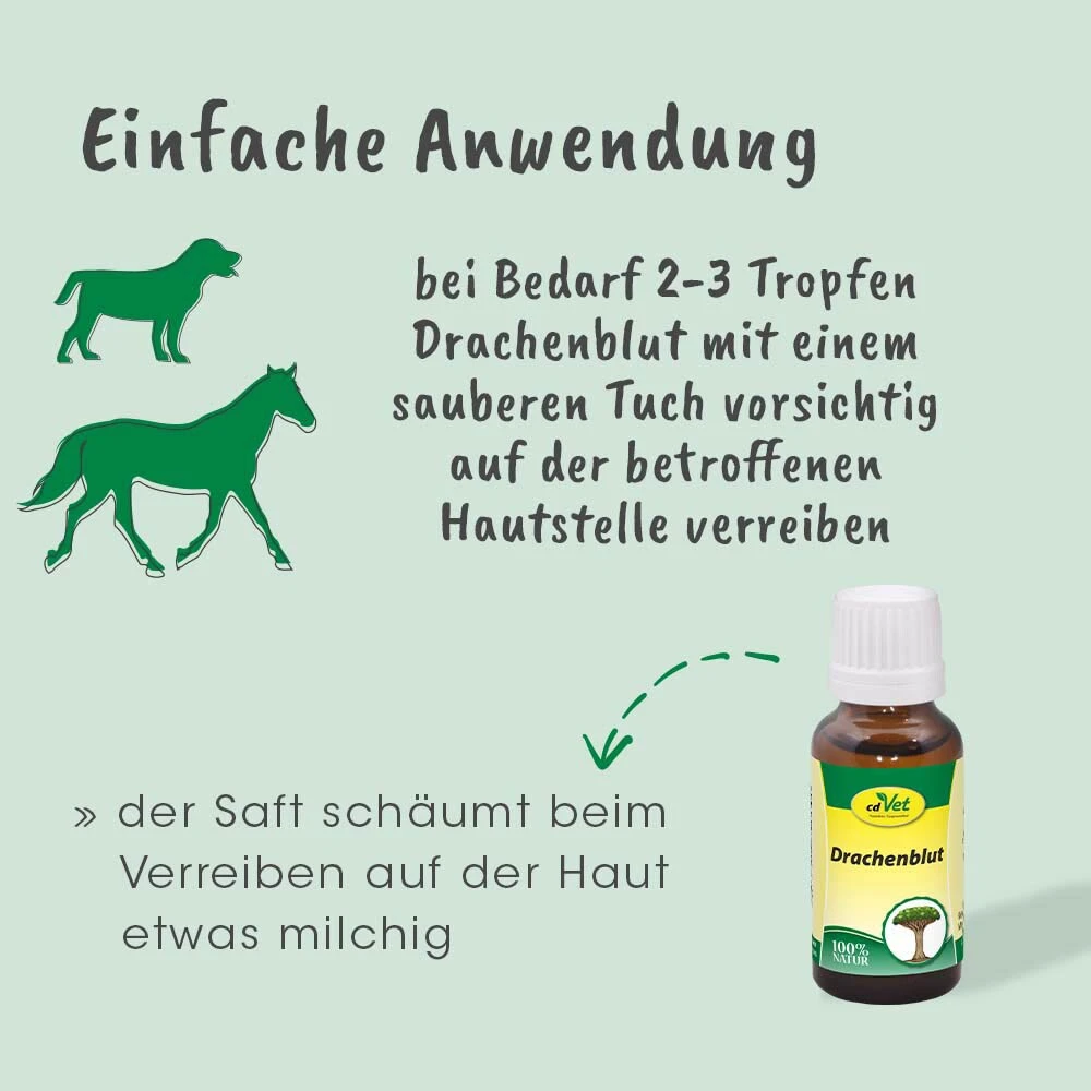 CdVet Drachenblut 7 CdVet Drachenblut – Bild 5