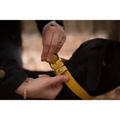 Das Lederband Barcelona Halsband Vibrant-Yellow 8 Das Lederband Barcelona Halsband Vibrant-Yellow -Günstiges Wuff Pflege Geschäft 0058576 das lederband barcelona halsband vibrant yellow