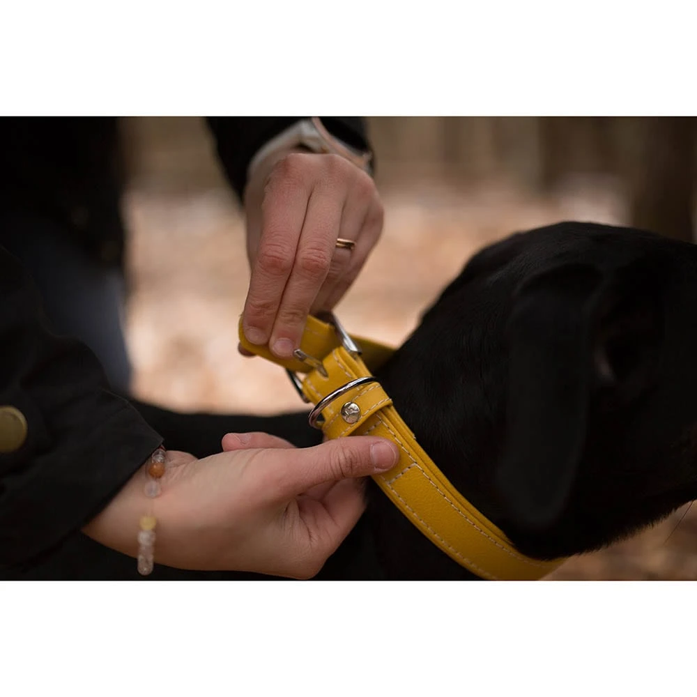 Das Lederband Barcelona Halsband Vibrant-Yellow 5 Das Lederband Barcelona Halsband Vibrant-Yellow – Bild 3