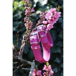 Das Lederband Barcelona Halsband Rose-Violet -Günstiges Wuff Pflege Geschäft 0058580 das lederband barcelona halsband rose violet