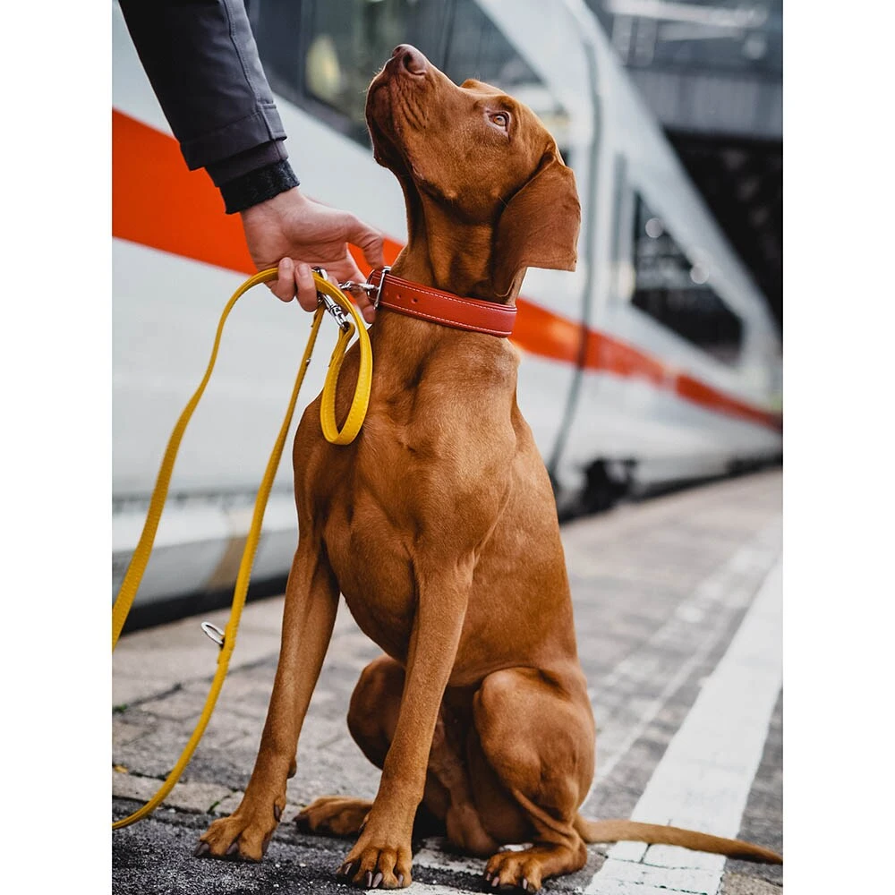 Das Lederband Barcelona Halsband Indian-Red 5 Das Lederband Barcelona Halsband Indian-Red – Bild 3