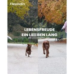 Vetoquinol Flexadin Adult Dog -Günstiges Wuff Pflege Geschäft 0058716 vetoquinol flexadin adult dog