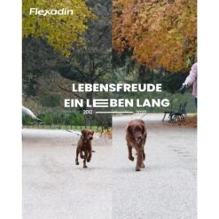 Vetoquinol Flexadin Young Dog Maxi -Günstiges Wuff Pflege Geschäft 0058722 vetoquinol flexadin young dog maxi
