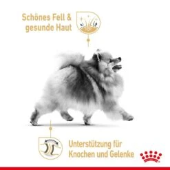 Royal Canin Pomeranian Breed Adult Trockennahrung Für Ausgewachsene Zwergspitze (>8 Monate) -Günstiges Wuff Pflege Geschäft 0059643 royal canin pomeranian breed adult trockennahrung fur ausgewachsene zwergspitze 8 monate