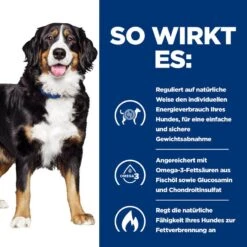 Hills Prescription Diet Metabolic + Mobility Trockenfutter Für Hunde Mit Huhn -Günstiges Wuff Pflege Geschäft 0060228 hills prescription diet metabolic mobility trockenfutter fur hunde mit huhn