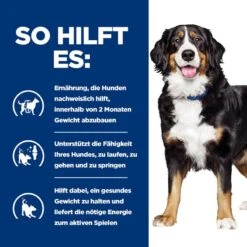 Hills Prescription Diet Metabolic + Mobility Trockenfutter Für Hunde Mit Huhn -Günstiges Wuff Pflege Geschäft 0060229 hills prescription diet metabolic mobility trockenfutter fur hunde mit huhn