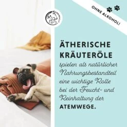 Annimally Bronchial Plus -Günstiges Wuff Pflege Geschäft 0060565 annimally bronchial plus