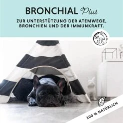 Annimally Bronchial Plus -Günstiges Wuff Pflege Geschäft 0060567 annimally bronchial plus