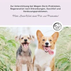 Annimally Colon Vital Tabletten -Günstiges Wuff Pflege Geschäft 0060599 annimally colon vital tabletten