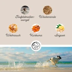 Annimally Gelenkpulver 12 Annimally Gelenkpulver -Günstiges Wuff Pflege Geschäft 0060632 annimally gelenkpulver