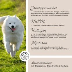 Annimally Gelenkpulver 11 Annimally Gelenkpulver -Günstiges Wuff Pflege Geschäft 0060634 annimally gelenkpulver