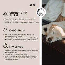 Annimally Gelenktabletten -Günstiges Wuff Pflege Geschäft 0060638 annimally gelenktabletten