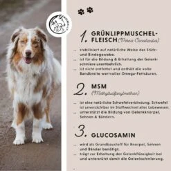 Annimally Gelenktabletten -Günstiges Wuff Pflege Geschäft 0060640 annimally gelenktabletten