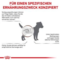 Royal Canin Gastrointestinal Low Fat Small Dogs Trockenfutter Für Kleine Hunde -Günstiges Wuff Pflege Geschäft 0060732 royal canin gastrointestinal low fat small dogs trockenfutter fur kleine hunde
