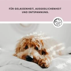 Annimally Relax Tabletten -Günstiges Wuff Pflege Geschäft 0060828 annimally relax tabletten